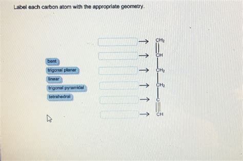 Solved Label Each Carbon Atom With The Appropriate Geometry Chegg