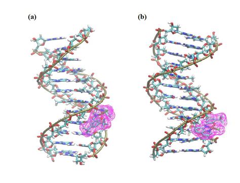 Docking Poses Of 2a A And 2b B With Dna Pdb 1bna Download