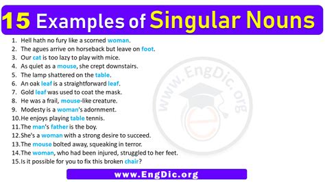 50 Examples Of Singular And Plural Nouns In Sentences 41 Off