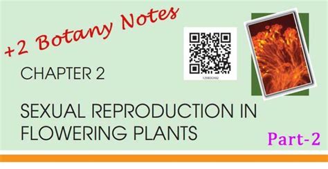 Reproduction In Plants Easybiologyclass