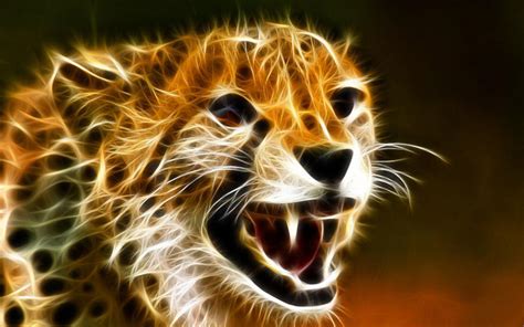 Cheetah Wallpapers HD - Wallpaper Cave