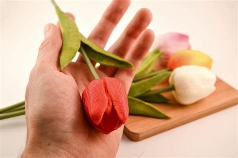 Premium Photo Cropped Image Of Hand Holding Tulip