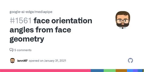 Face Orientation Angles From Face Geometry Issue 1561 Google Ai