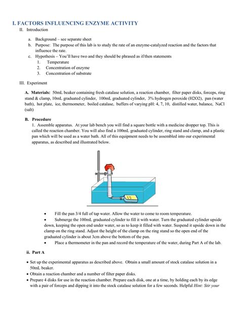 I Factors Influencing Enzyme Activity