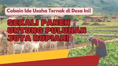 Balik Kampung 2024 Cobain 4 Ide Usaha Ternak Ini Untung Hingga