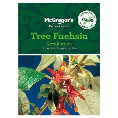 Mcgregors Tree Fuchsia Nz Native Seed Mitre10