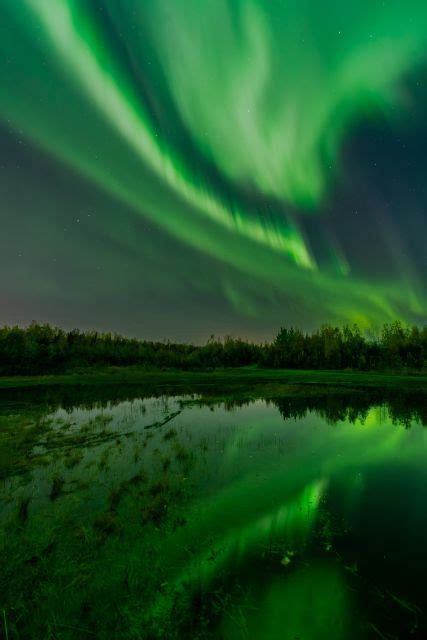 Fairbanks: Aurora Borealis Northern Lights Tour | GetYourGuide