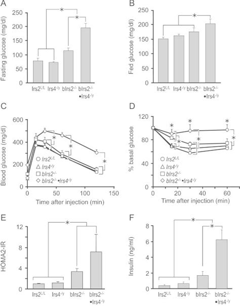 Glucose Homeostasis In Birs2−−·irs4−y Mice A Fasted And B Fed