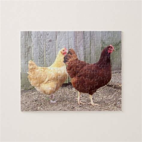 Chickens Puzzle | Zazzle.com