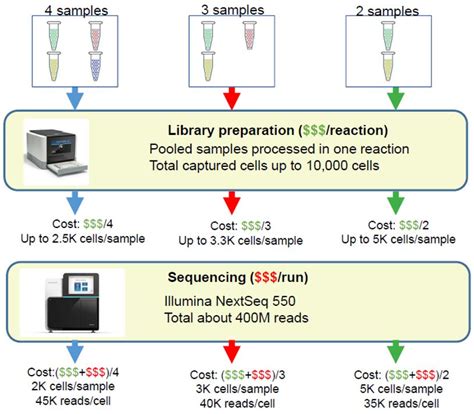 Cellplex Sequencing Service Cancer Genomics Center Uthealth Houston