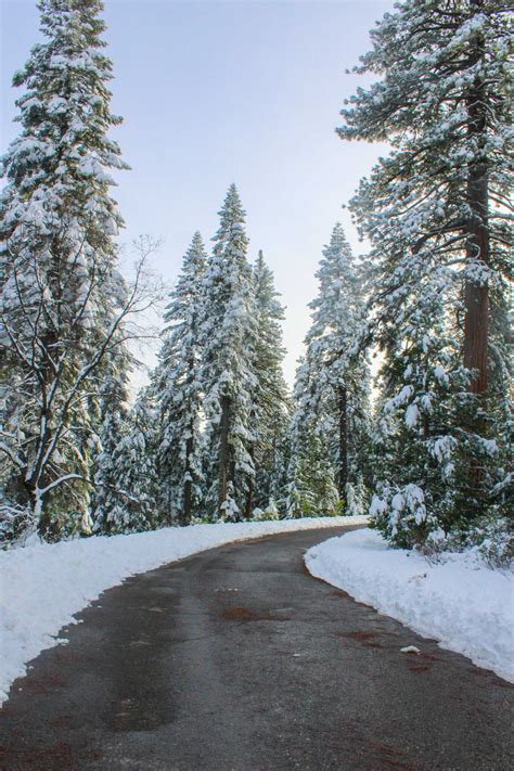 Best Snowy Places in California for a Winter Road Trip