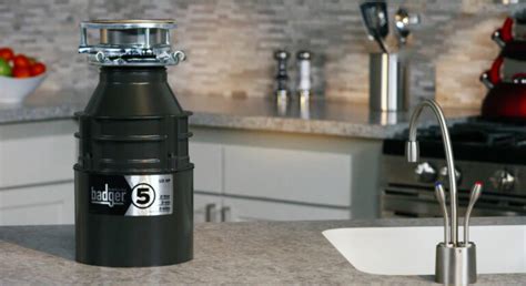 American Standard Garbage Disposal Review ASD 1250 The Curious Home