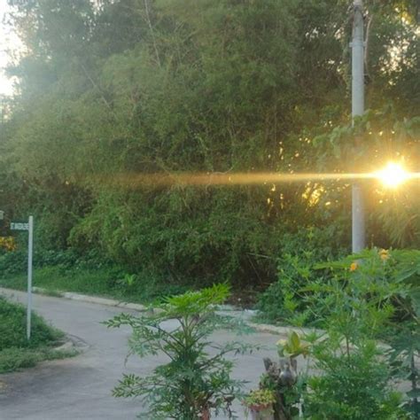 Stream Ghan I Might Fuck It All Up Again By GhanHatesYouRn Listen