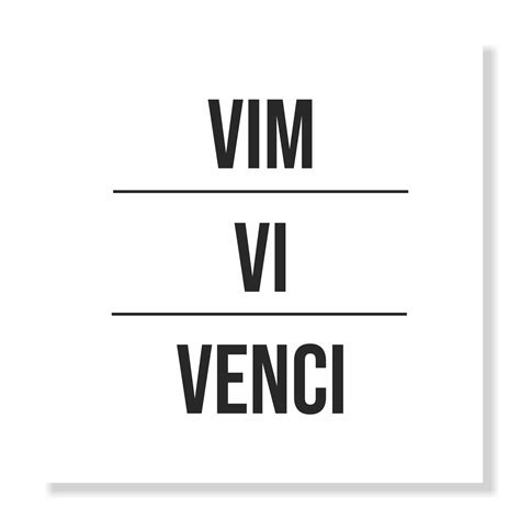 Placa Decorativa Vim Vi Venci - Kiaga