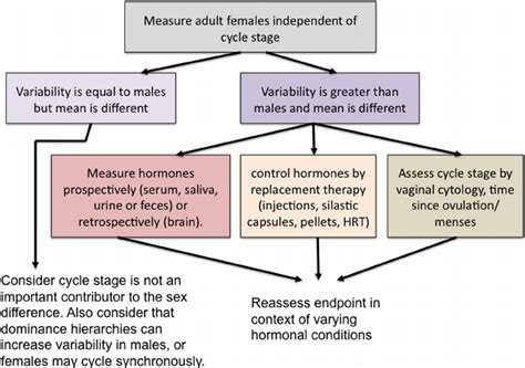 Impact Of Female Cyclical Reproduction On Sex Differences Download Scientific Diagram