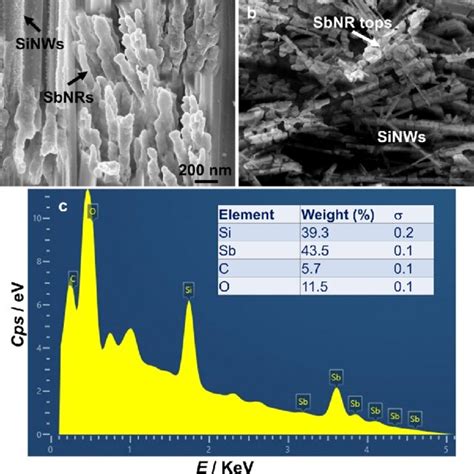 A Cross Sectional FE SEM Image And B Top View Of SbNR Decorated