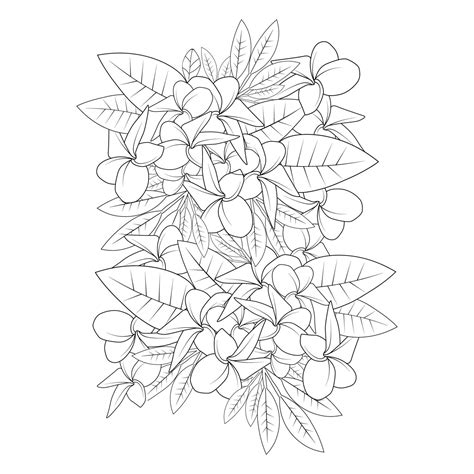 Plumeria Flower Doodle Coloring Page Outline Vector Illustration Of