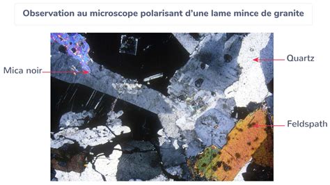 Légender une observation microscopique de granite 1ère Exercice de