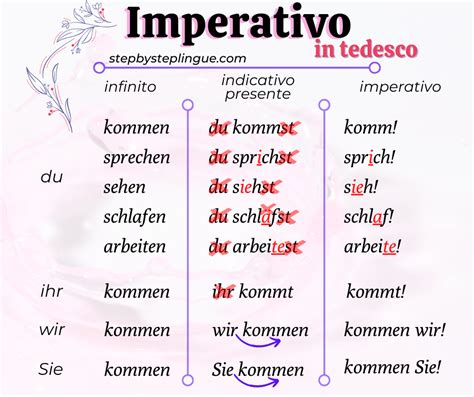 L Imperativo In Tedesco Step By Step Lingue