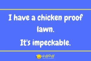 Funny Chicken Proof Joke LaffGaff Home Of Laughter