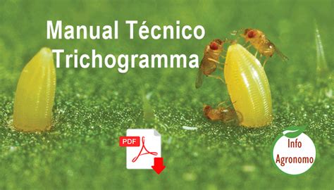 Manual Para El Control De Plagas Mediante Trichogramma Infoagronomo