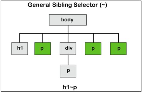 CSS Combinators Javatpoint