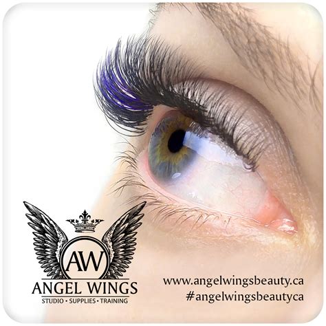 Angel Wings Eyelash Academy International Academy And Luxury Lash