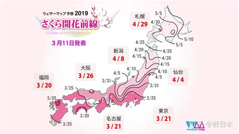 日本樱花季是什么时候，去哪里赏樱好？ 知乎