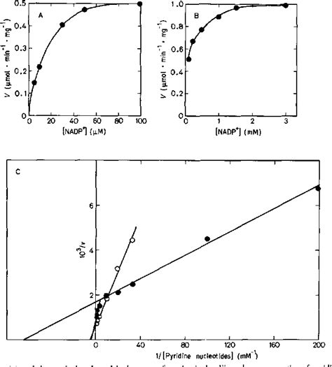 Figure 1 from AEROBIC NITROGEN FIXATION IN AZOTOBACTER VINELANDII ...