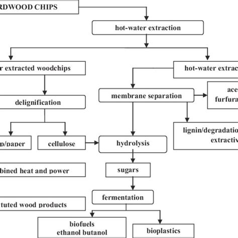 Scheme Of The Biorefinery Based On Hwe Of Hardwoods Download