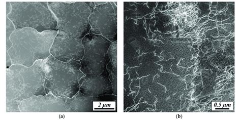 Stem Haadf Micrographs Of The Dislocation Substructure In Sebm Specimen