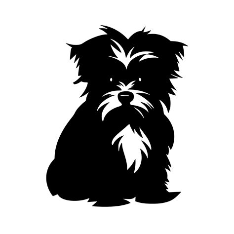 Morkie – Creative Meadow