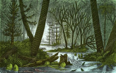 Marshy Carboniferous Forest Illustration Stock Image C