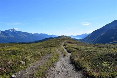 Seward Wilderness Hiking Kenai Backcountry Adventures