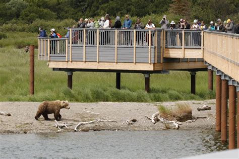 Brooks Camp Floating Bridge Access Trail Boardwalk Reid Middleton