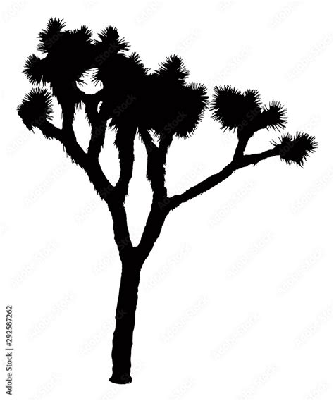 Joshua Tree Silhouette | Vector Desert Plant Stock Vector | Adobe Stock