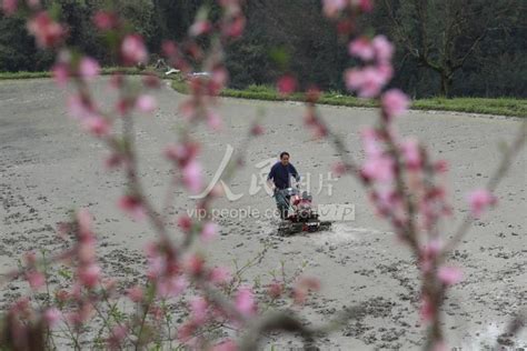 湖南武陵源：抢抓时节忙春耕 人民图片网