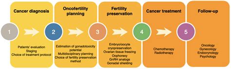 Cancers Free Full Text Fertility Preservation And Long Term Monitoring Of Gonadotoxicity In