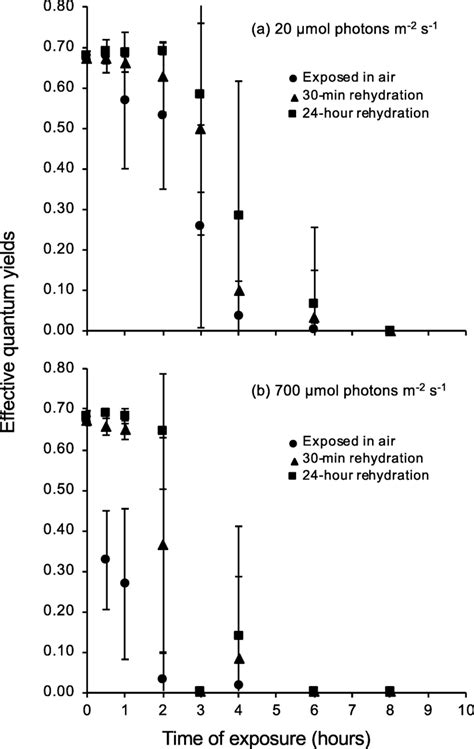 The chronological change of photochemical efficiency ΔF Fm in