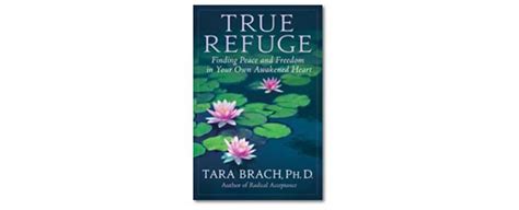 Tara Brach shares one way to find true refuge - NICABM