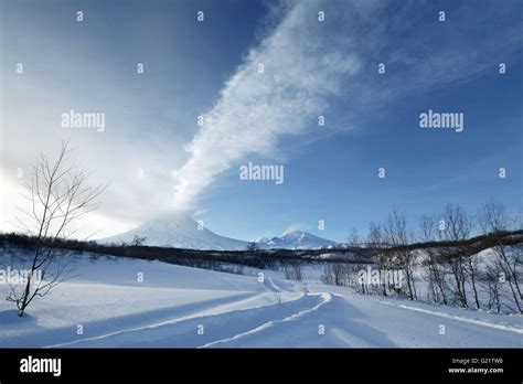 Volcanic Landscape Of Kamchatka Peninsula Evening View Of Eruption Active Klyuchevskoy Volcano