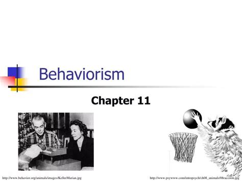 Ppt Behaviorism Powerpoint Presentation Free Download Id 483608