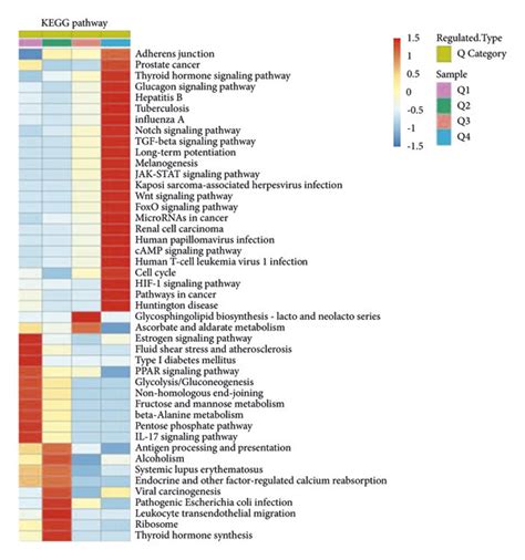 Cluster Analysis Of Proteins Corresponding To Differential Acetylation Download Scientific