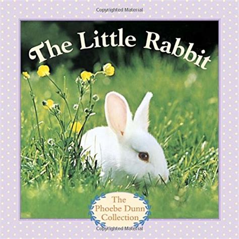 Amazon The Little Rabbit Phoebe Dunn Collection Dunn Judy Dunn