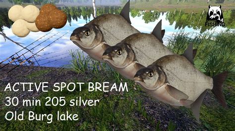 Russian Fishing Rf Old Burg Lake Active Spot Bream Min