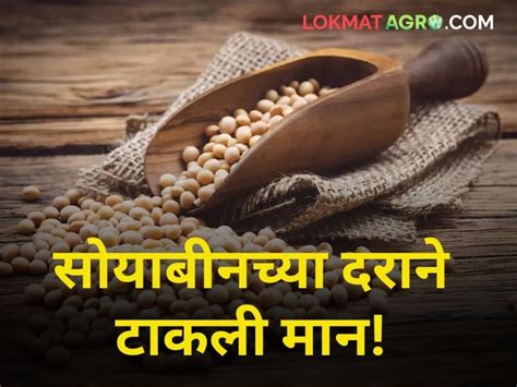 सोयाबीनचे दर ४ हजारांच्या खाली Marathi News Maharashtra Agriculture Farmer Market Yard