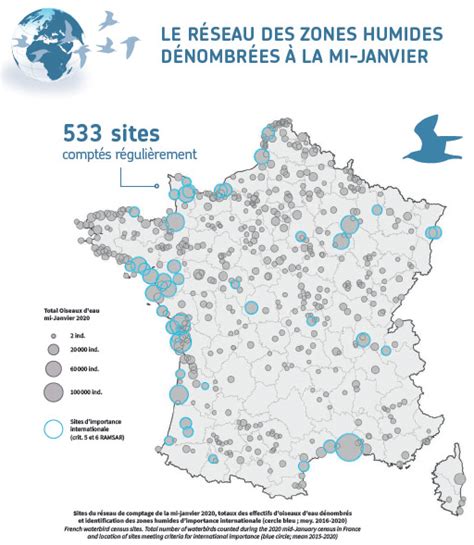 R Sultats Du Comptage Annuel Des Oiseaux Deau En France P Le