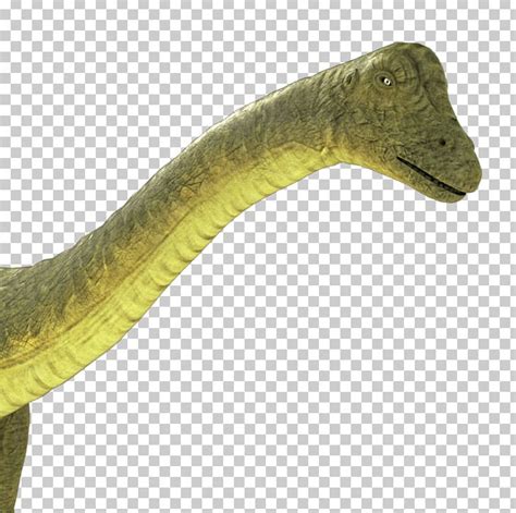 Dinosaur Apatosaurus Brontosaurus Sauropoda Rendering Png Clipart 3 D 3 D Model 3d Computer