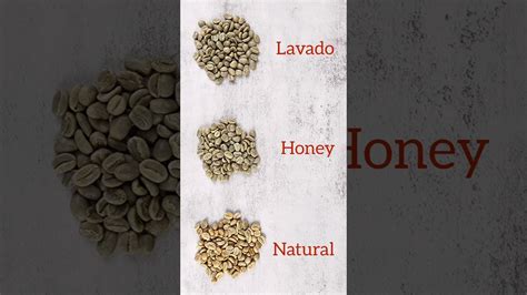 Lavado Honey Y Natural Sabes Cual Es La Diferencia Caf