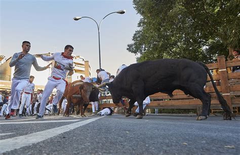 Tercer Encierro De Las Fiestas De Tudela 2022